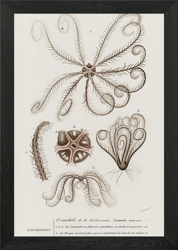Poster arte parete - poster,