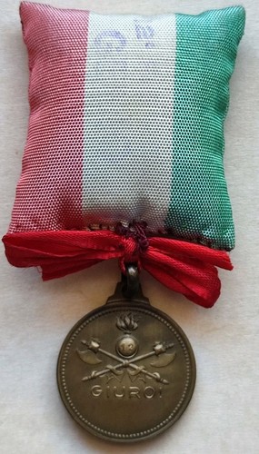 Medaglia reggimento genio - 12,