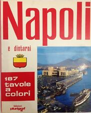 "Napoli e dintorni. 187 tavole