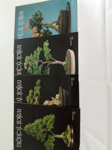 World tropical bonsai forum - tropical,