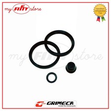 Kit revisione pinza freno