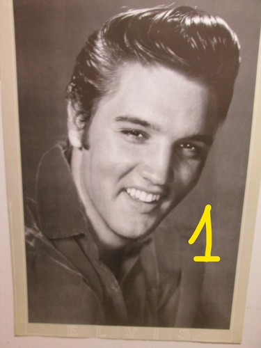 Elvis presley poster - elvis,