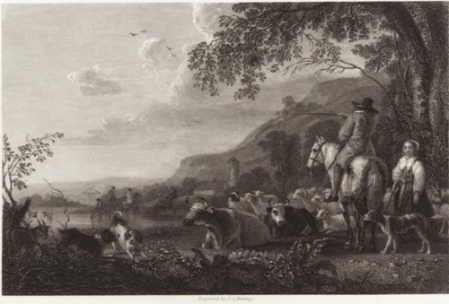 Paesaggio bestiame di - paesaggio,