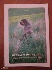 Enrico Bixio Deutsch Drahthaar ( cane da ferma tedesco a pelo duro)