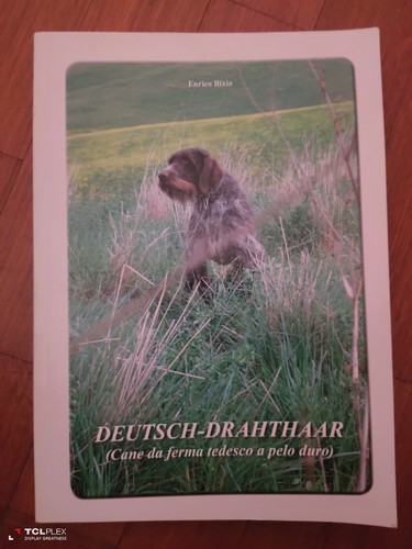 Enrico bixio deutsch drahthaar - bixio,