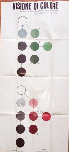 Visione colore - visione, di