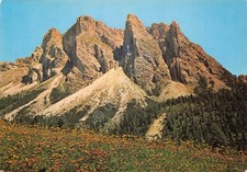 Cartolina Dolomiti lo Stevia  (Bolzano)