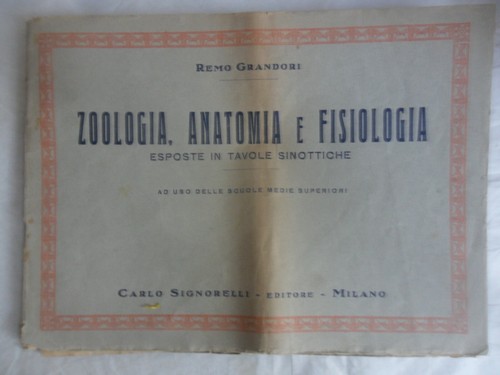 Grandori zoologia anatomia - ,
