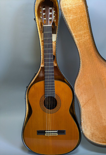 Zen yasuo abe 530 chitarra - yasuo,