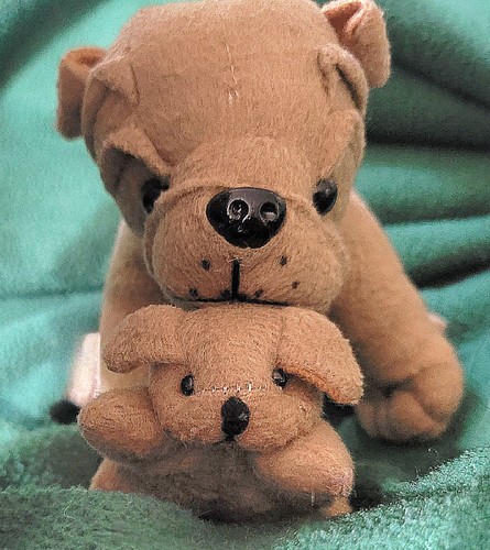 Peluche bulldog trading - peluche,