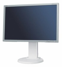 22" TFT NEC MultiSync E222W
