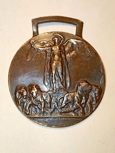 Medaglia regno italia - medaglia, grande