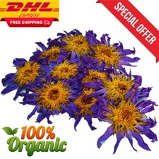 Fiori secchi di loto blu