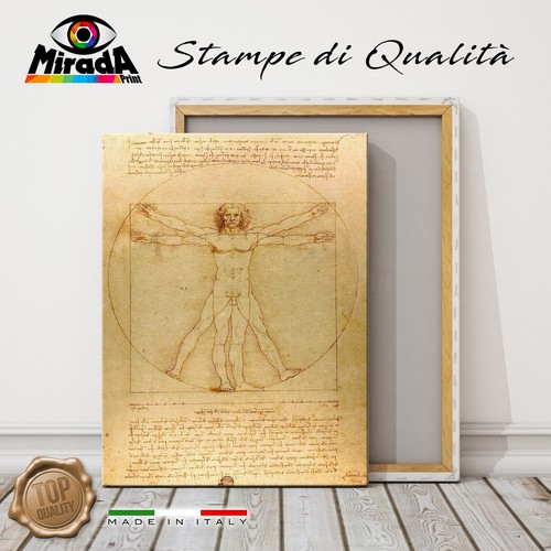 Quadro leonardo vinci uomo - quadro,