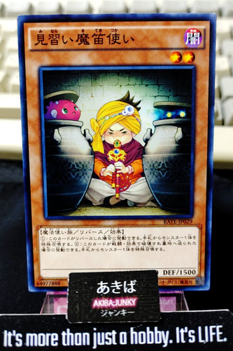 Apprendista pifferaio yugioh - apprendista,