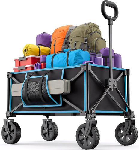 Carrello spiaggia 100kg - spiaggia,