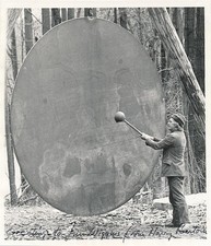 Harry Bertoia - RARA
