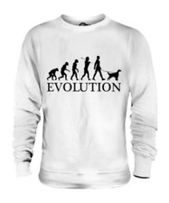 Inglese Setter Evolution Of