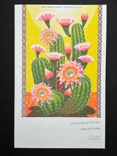 Dana Alice Niamh / from Erotic