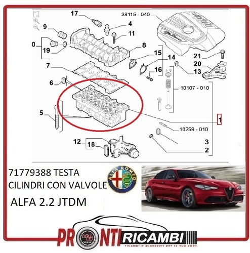 73504107 71779388 testa - 73504107,