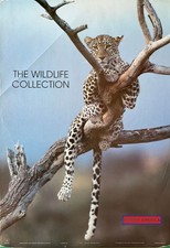 662567 The Wildlife Collection