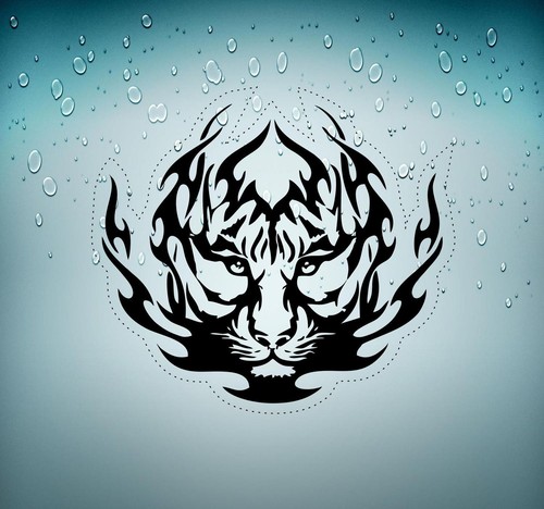 Sticker adesivo adesivi tuning