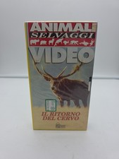 ANIMALI SELVAGGI VIDEO IL