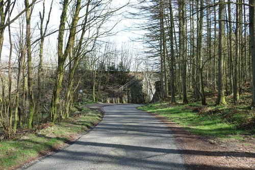 Photo 6x4 road - luce, at
