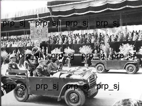 Fotografia labaro nastro - labaro,