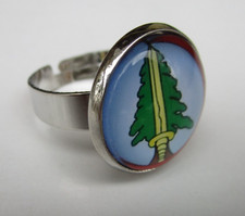 ANELLO GEMELLI CIME LIBRERIA