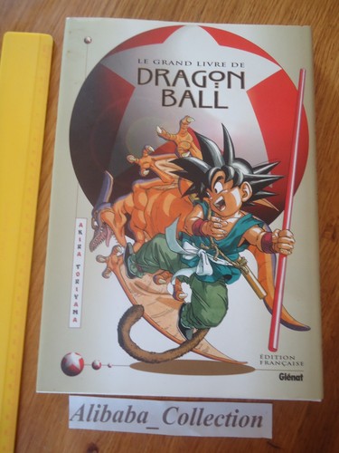 Grand livre dragon - grand,