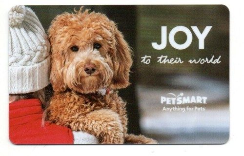 Petsmart cute dog - cute, joy