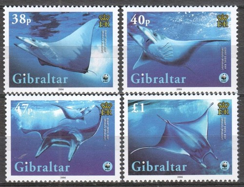 Gibilterra 2006 fauna animali - gibilterra,