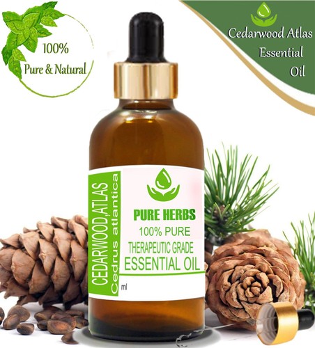 Olio essenziale cedro - olio, di