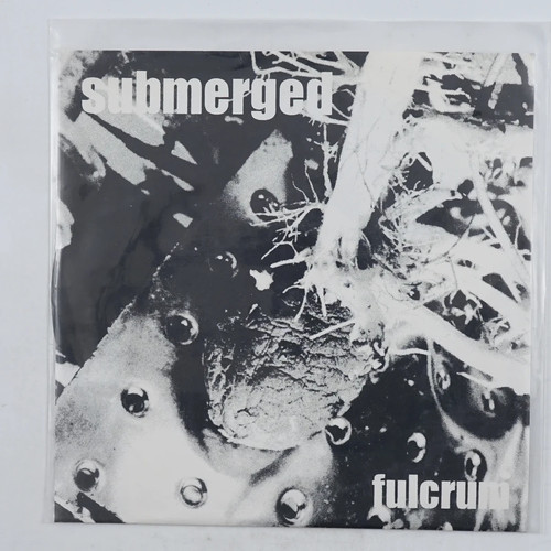 Submerged fulcrum 7 - (2), ep