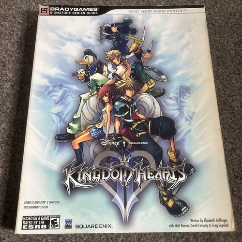 Kingdom hearts strategy - kingdom, 2