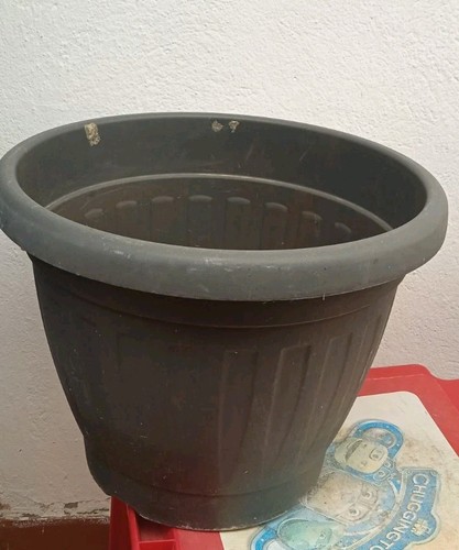Vaso plastica per - plastica, fiori