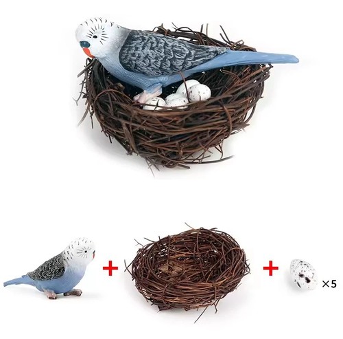 Budgerigar pappagallo - budgerigar,