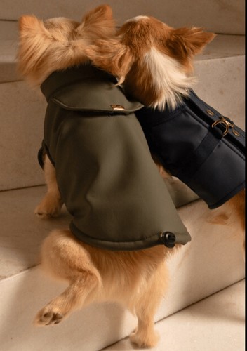 Impermeabile per cani - impermeabile,