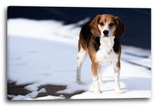 Tela/Cornice Cane cani animali