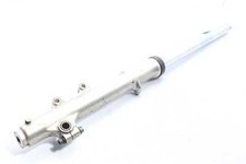 Gambale anteriore destro della