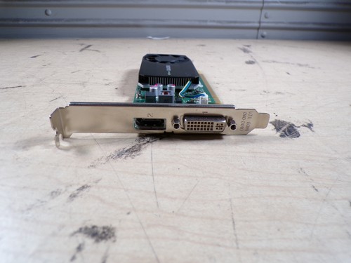 Evga nvidia geforce - nvidia, 610