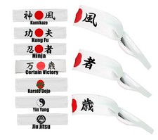 Fasce olimpiche combattimento