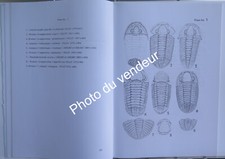 Paléontologie: Pillet, 1997