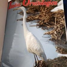 Italia ornitologica anno 2001