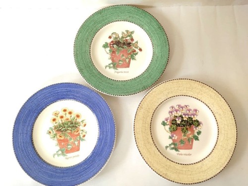 Piatto wedgwood sarah - piatto, garden