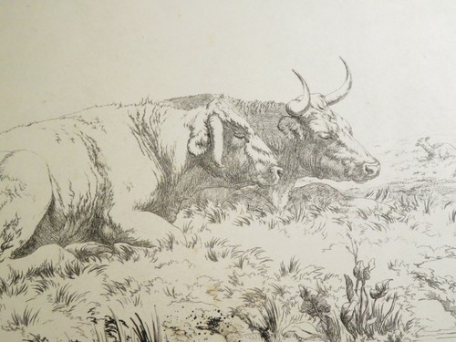 Robert hills - robert, (1769-1844)