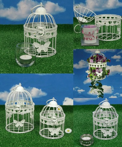 Regalo decorativo farfalla