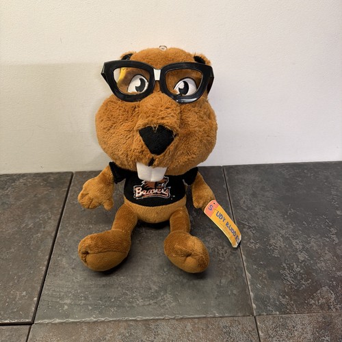 Osu beavers study buddies team - buddies,