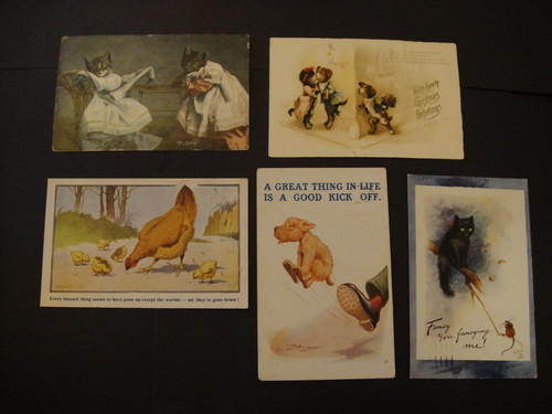 Postcards animals cats - ,